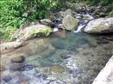 Bosque Estatal de Toro Negro - OROCOVIS, JAYUYA, JUANA DÍAZ